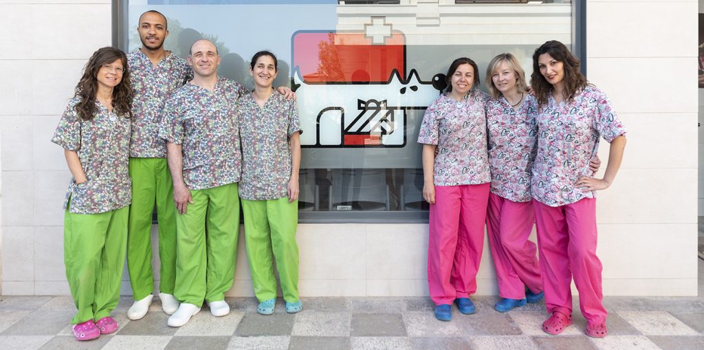 equipo