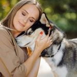 Comportamiento de los perros | Veterinario