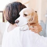 Los perros y el miedo a los petardos