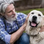 cuántos años vive un perro