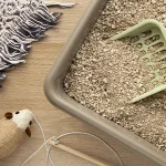 ¿Qué arenero les gusta a los gatos?